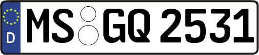 MS-GQ2531