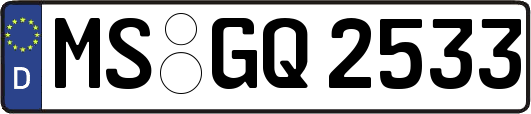 MS-GQ2533
