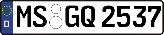 MS-GQ2537