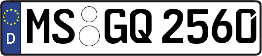 MS-GQ2560