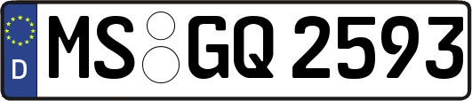 MS-GQ2593