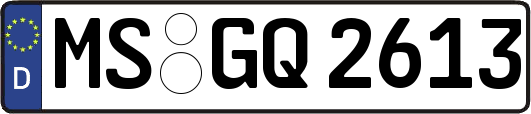 MS-GQ2613