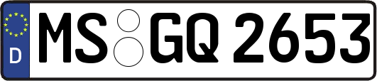 MS-GQ2653