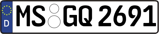 MS-GQ2691