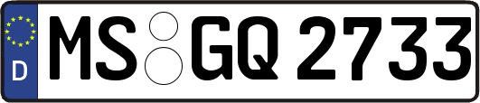 MS-GQ2733