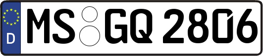 MS-GQ2806