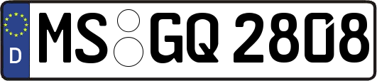 MS-GQ2808