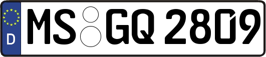 MS-GQ2809