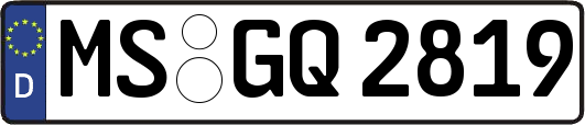 MS-GQ2819