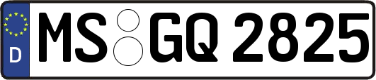 MS-GQ2825