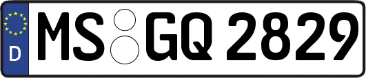 MS-GQ2829