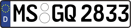 MS-GQ2833