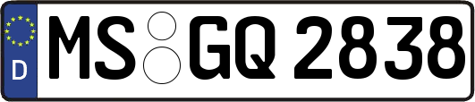MS-GQ2838