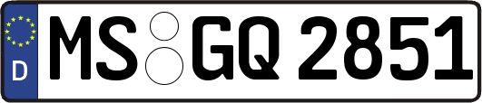 MS-GQ2851