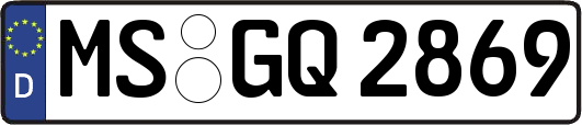 MS-GQ2869