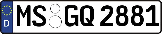 MS-GQ2881