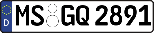 MS-GQ2891