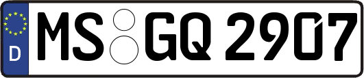 MS-GQ2907