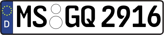 MS-GQ2916