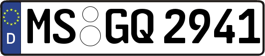 MS-GQ2941