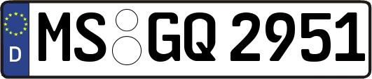 MS-GQ2951