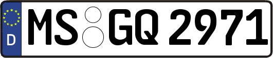 MS-GQ2971
