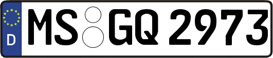 MS-GQ2973