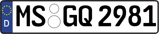 MS-GQ2981