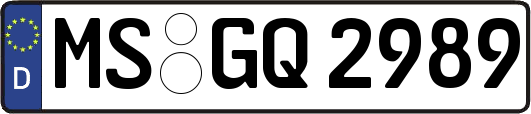 MS-GQ2989