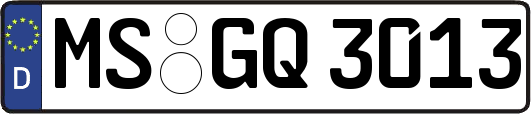 MS-GQ3013
