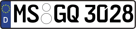 MS-GQ3028