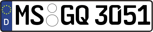 MS-GQ3051