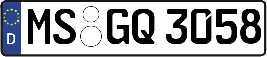 MS-GQ3058
