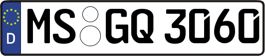 MS-GQ3060