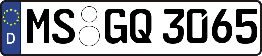 MS-GQ3065