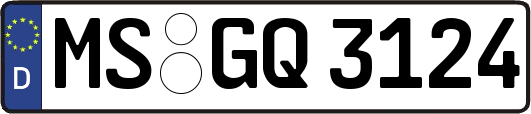 MS-GQ3124