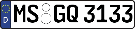 MS-GQ3133