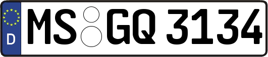 MS-GQ3134