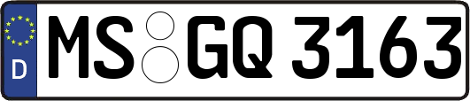 MS-GQ3163