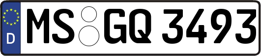 MS-GQ3493