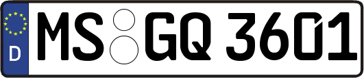 MS-GQ3601