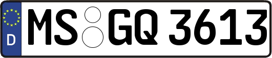 MS-GQ3613
