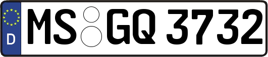 MS-GQ3732