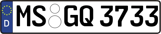 MS-GQ3733