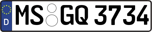 MS-GQ3734