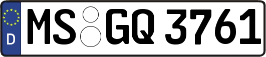 MS-GQ3761