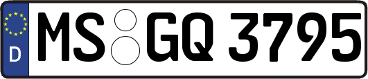 MS-GQ3795