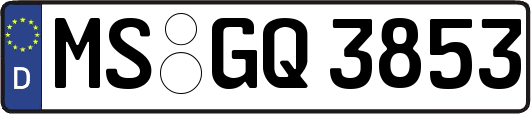 MS-GQ3853