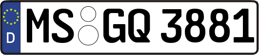 MS-GQ3881