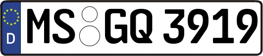 MS-GQ3919